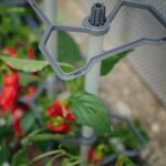 deutschland-topf-kaufen-GustaGarden