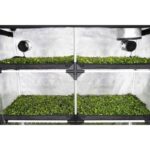ghp-probox-propagator-xl