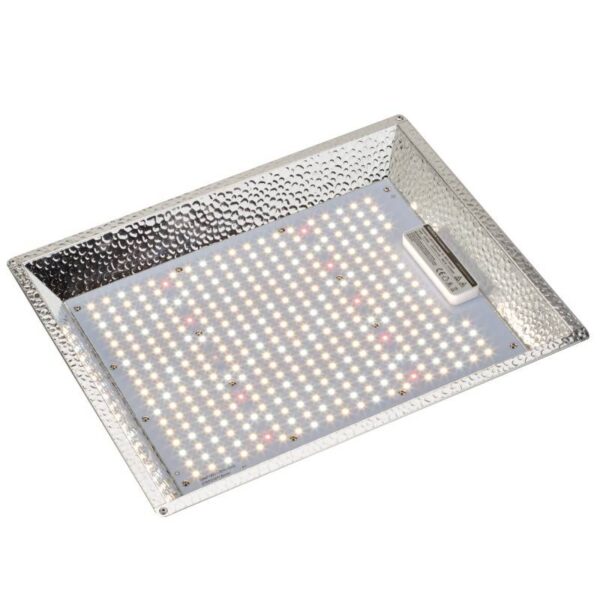 PFLANZENLAMPE FLORIS - Hochwertiges LED-Pflanzenlicht, Vollspektrum Nutzpflanzen kaufen