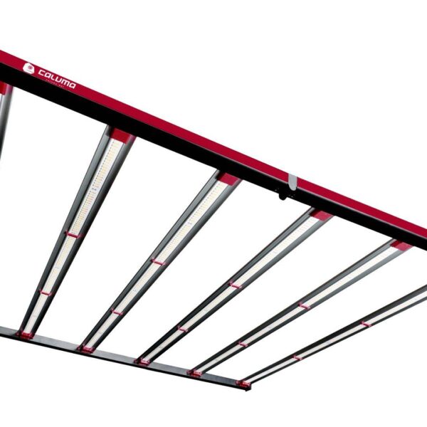 Caluma-Force-Pro-630W-LED kaufen