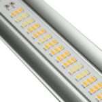 caluma led force pro 630w kaufen