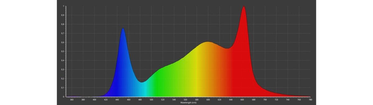 led board caluma led force 240w kaufen bestellen