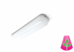 led board caluma led force 240w online kaufen