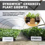 DynoMyco Dynamite Stick mykorrhiza-kaufen