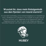 algenkalk pulver kohlensaurer kalk aus meeresalgen fein vermahlen kaufen