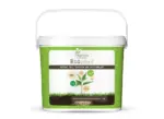 Big-plant-3kg-2