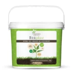 Big-plant-3kg-2
