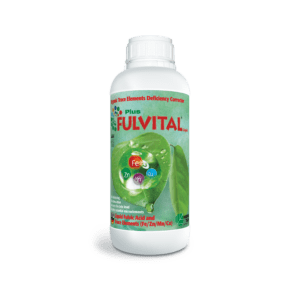 FULVITAL_Plus_Liquid