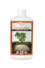 Power-plant-1L-eng