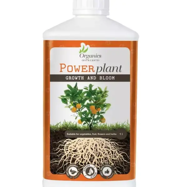 Power-plant-1L-eng