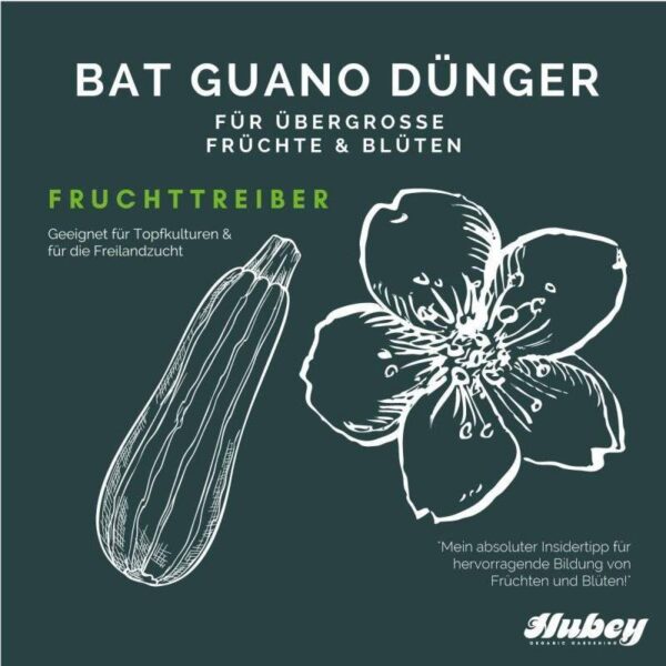 hubey-bat-guano-2-kg-pulver-fledermausduenger-fledermauskot