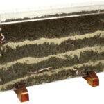 wurmhaus.würmer.kaufen