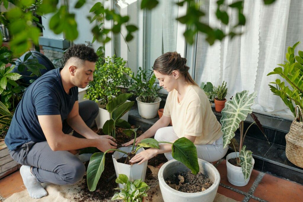 Couple Adding Soil in Flower Pot