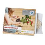 nemaplus-depot-mit-kapseln.jpg