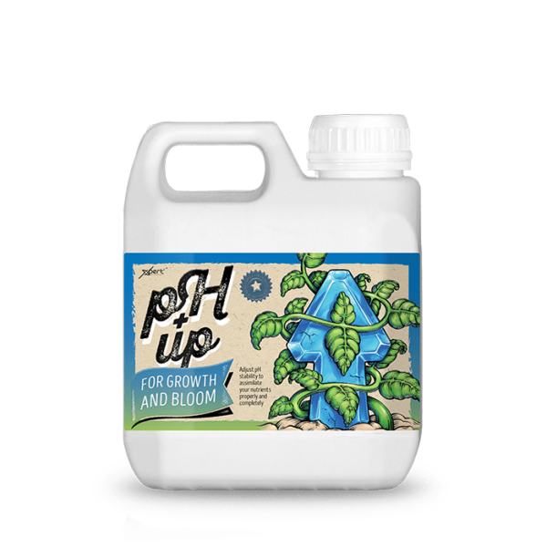 pH-Up-1L