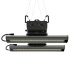 Greenception GCx 4 120 Watt 342 µmols growlampe