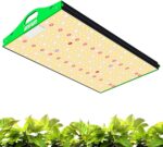 enfun xl 1000 Growleuchte