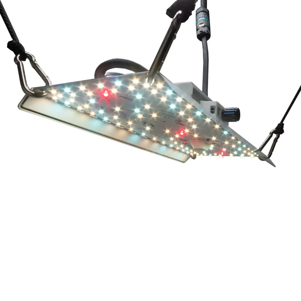 growleuchte bloomstar-fluxshield-habibi-150-50w-vollspektrum