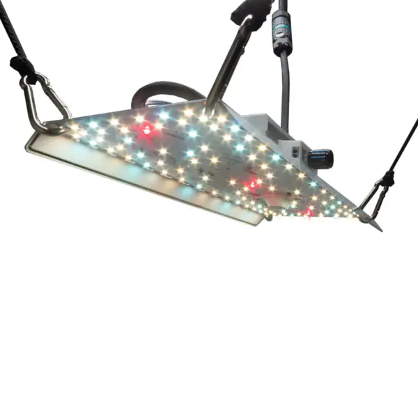 growleuchte bloomstar-fluxshield-habibi-150-50w-vollspektrum