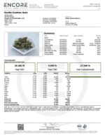 Gorilla Cookies Auto - Fast Buds kaufen