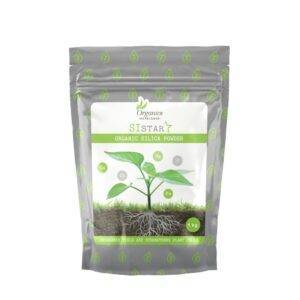 Organisches Siliziumpulver Si Star - Organics Nutrients kaufen