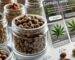 cannabis samen online kaufen