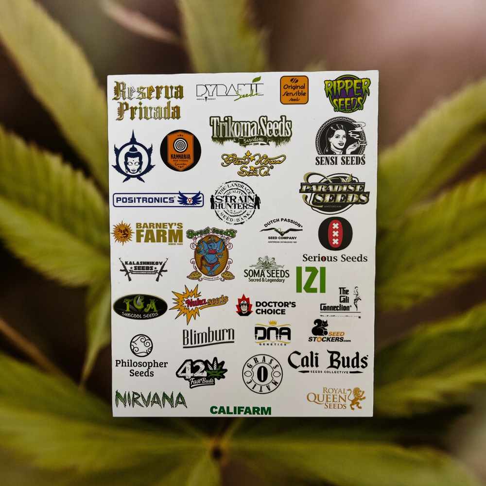 seed banks cannabis samenbanken