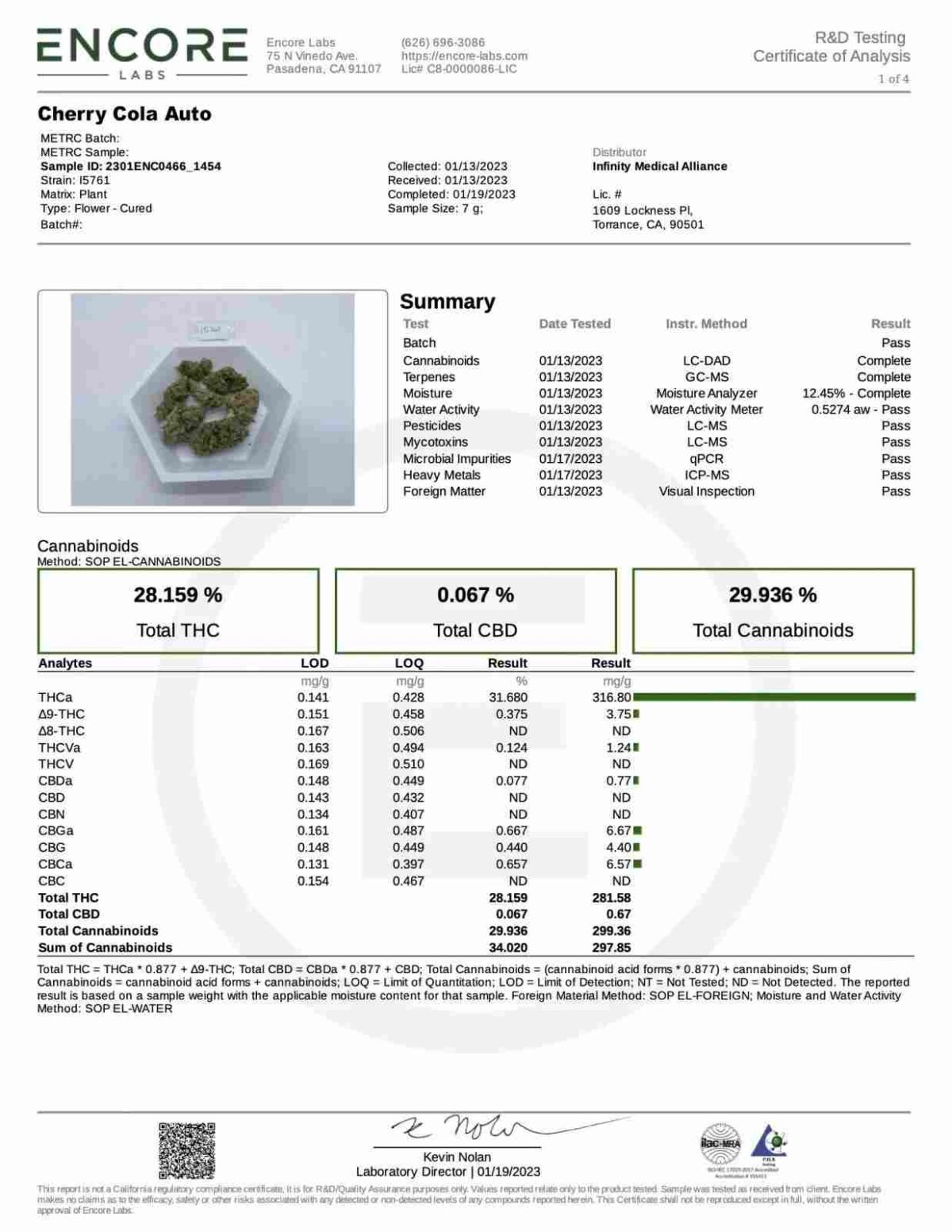 Cherry Cola Auto- Fast Buds kaufen bestellen deutschland