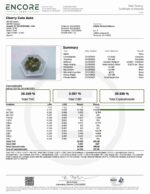 Cherry Cola Auto- Fast Buds kaufen bestellen deutschland