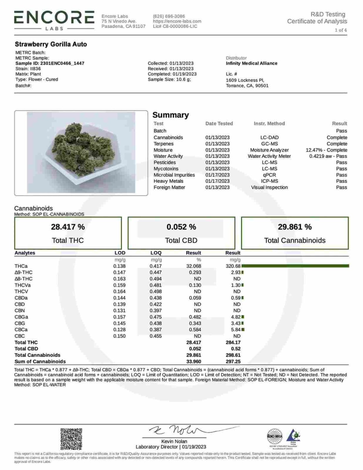 Strawberry Gorilla Auto Fast Buds kaufen deutschland online bestellen