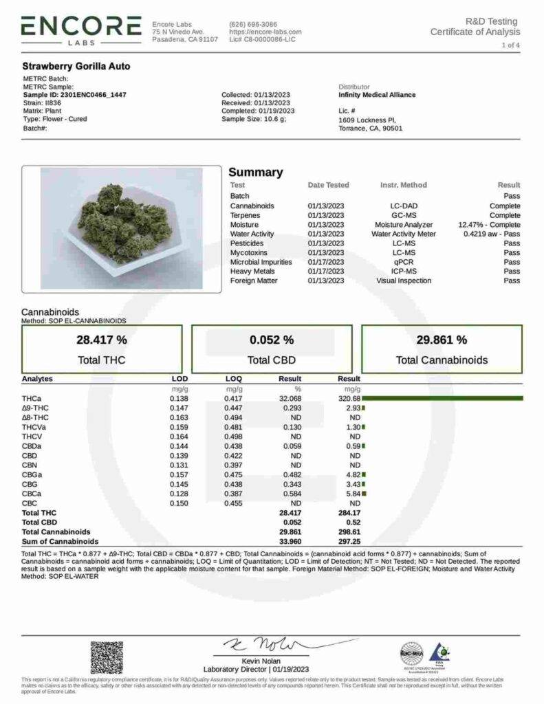 Strawberry Gorilla Auto Fast Buds kaufen deutschland online bestellen