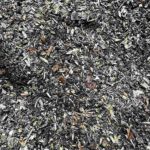 Waldboden Mulchmaterial Mikroorganismen