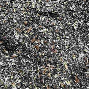 Waldboden Mulchmaterial Mikroorganismen