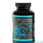 pandora-mycoterra-kaufen