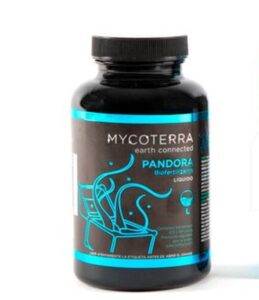 pandora-mycoterra-kaufen
