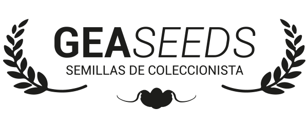 geaseeds cannabis samen kaufen
