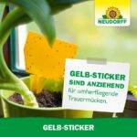 Neudorff Gelb-Sticker – Biologische Insektenfalle für Zimmerpflanzen und Gewächshaus
