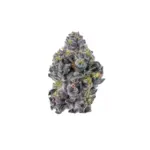 growers-choice-triploid-sticky-wasabi-fem-kaufen