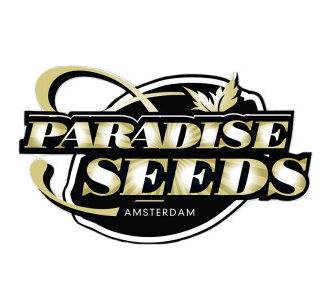 paradise-seeds-deutschland günstig kaufen