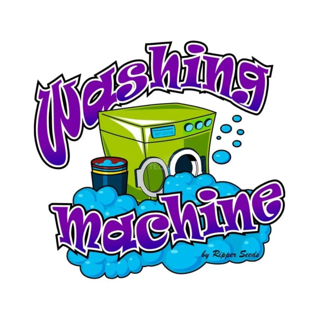 ripper-seeds-washing-mashine-feminisiert bestellen deutschland