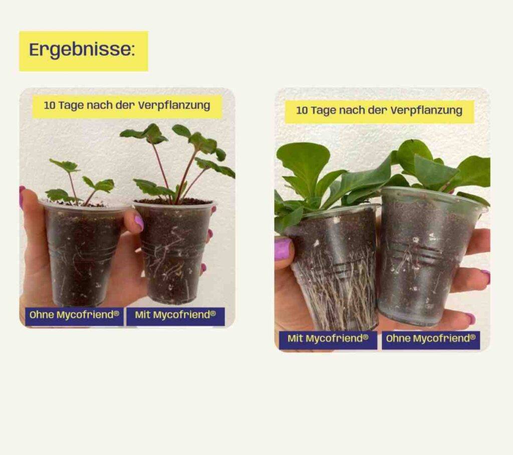 Mycofriend Premium Mykorrhiza Biologischer Wurzelaktivator für kräftige Pflanzen bestellen kaufen living soil