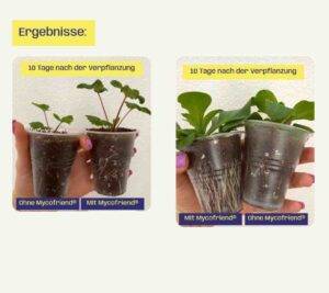 Mycofriend Premium Mykorrhiza Biologischer Wurzelaktivator für kräftige Pflanzen bestellen kaufen living soil