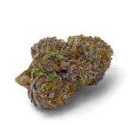 Growers Choice – Purple Dosi Punch – Feminisiert kaufen bestellen deutschland